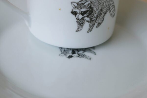 zestaw talerzyk + kubek dla dziecka RACCOON